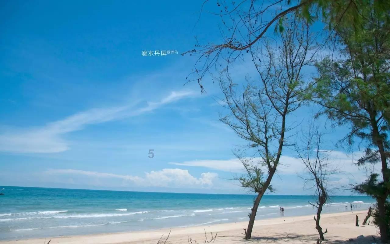 江苏企业完成CCER启动首日交易