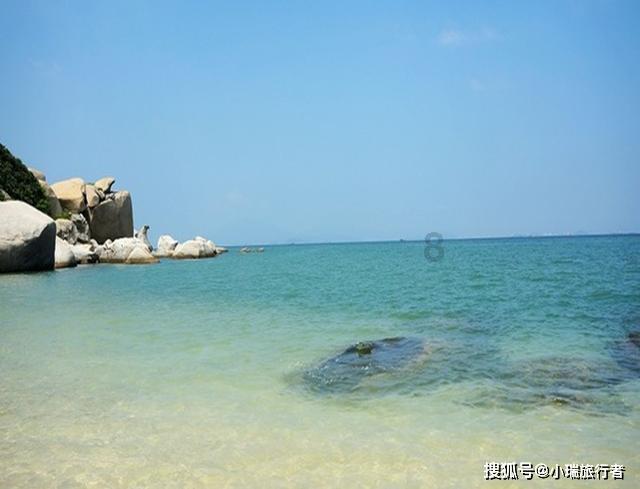 银河中动物逃生