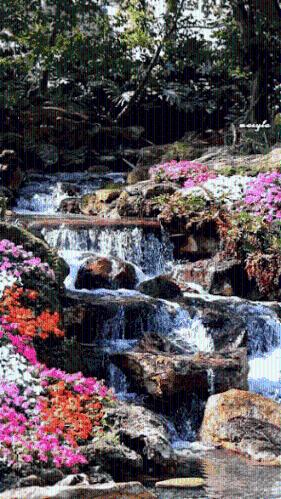 荒岛枪训