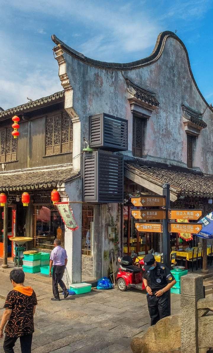 忍者鲨鱼