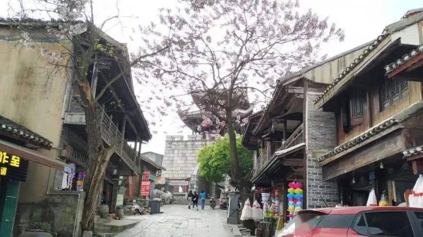 “美国在台协会”主席这番曲解不止装傻扮无知