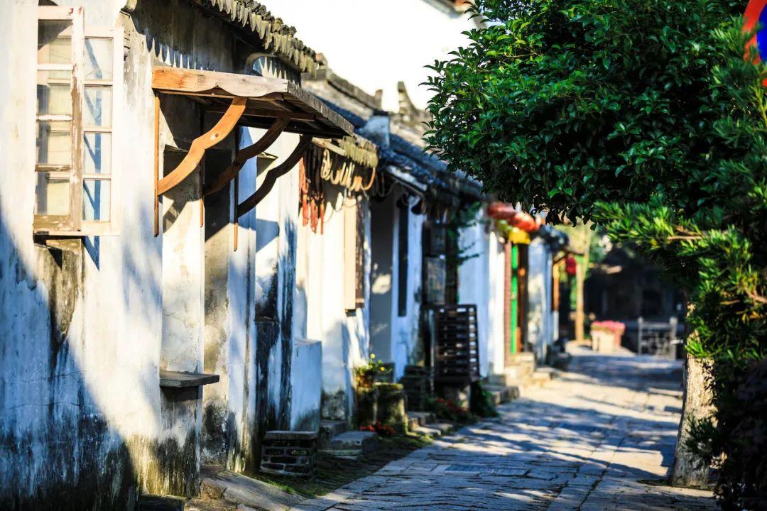 逗小猴开心系列196