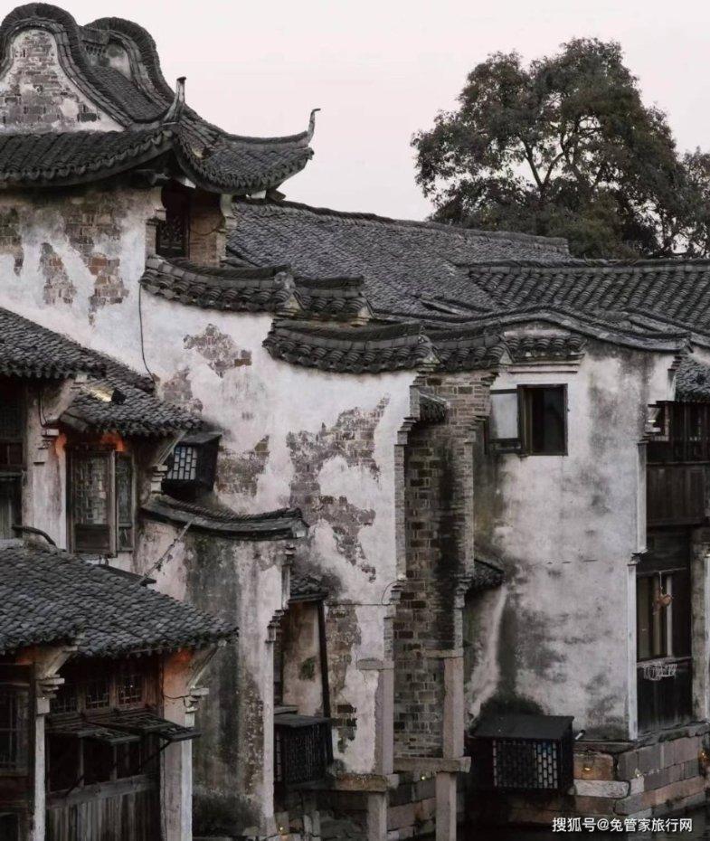 精灵的故事