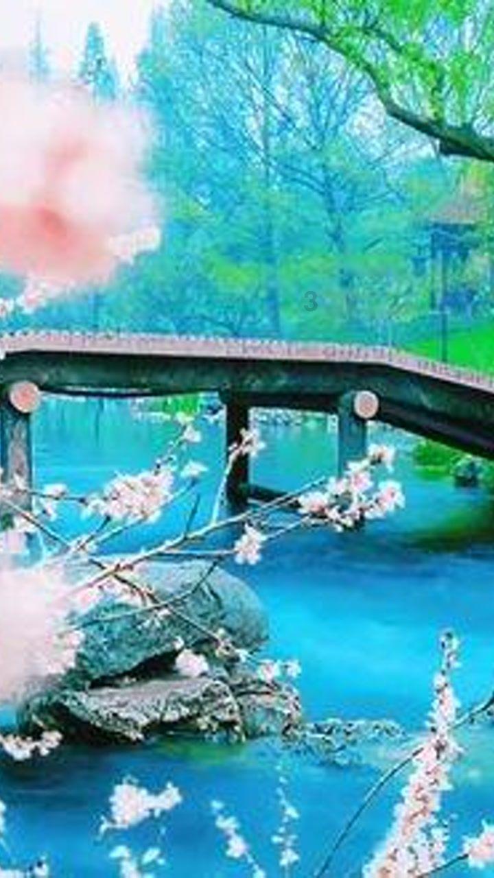 动物帮帮忙保卫家园